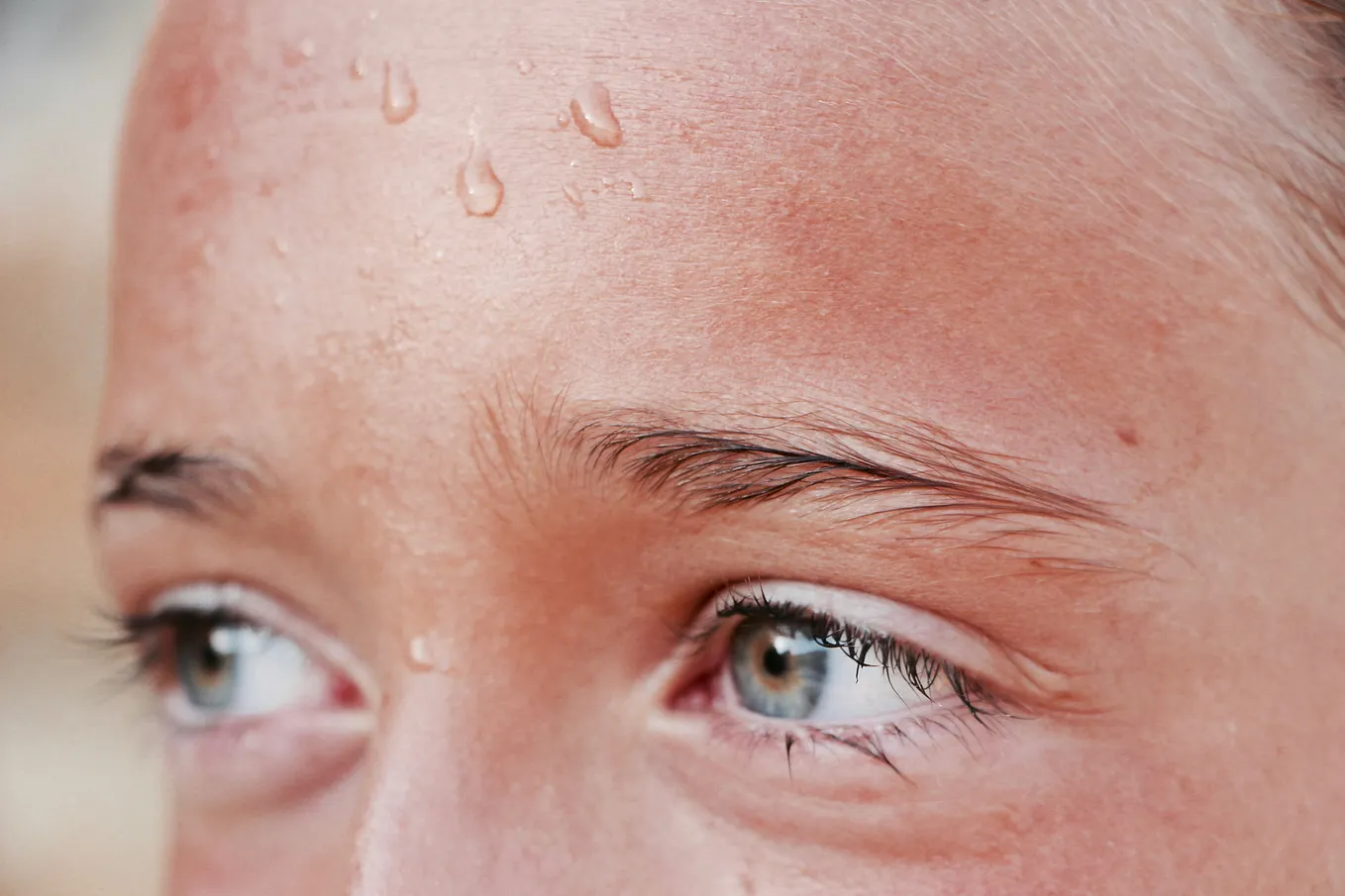 Why Do Europeans Refuse Air Conditioning When It’s Literally Killing Them?