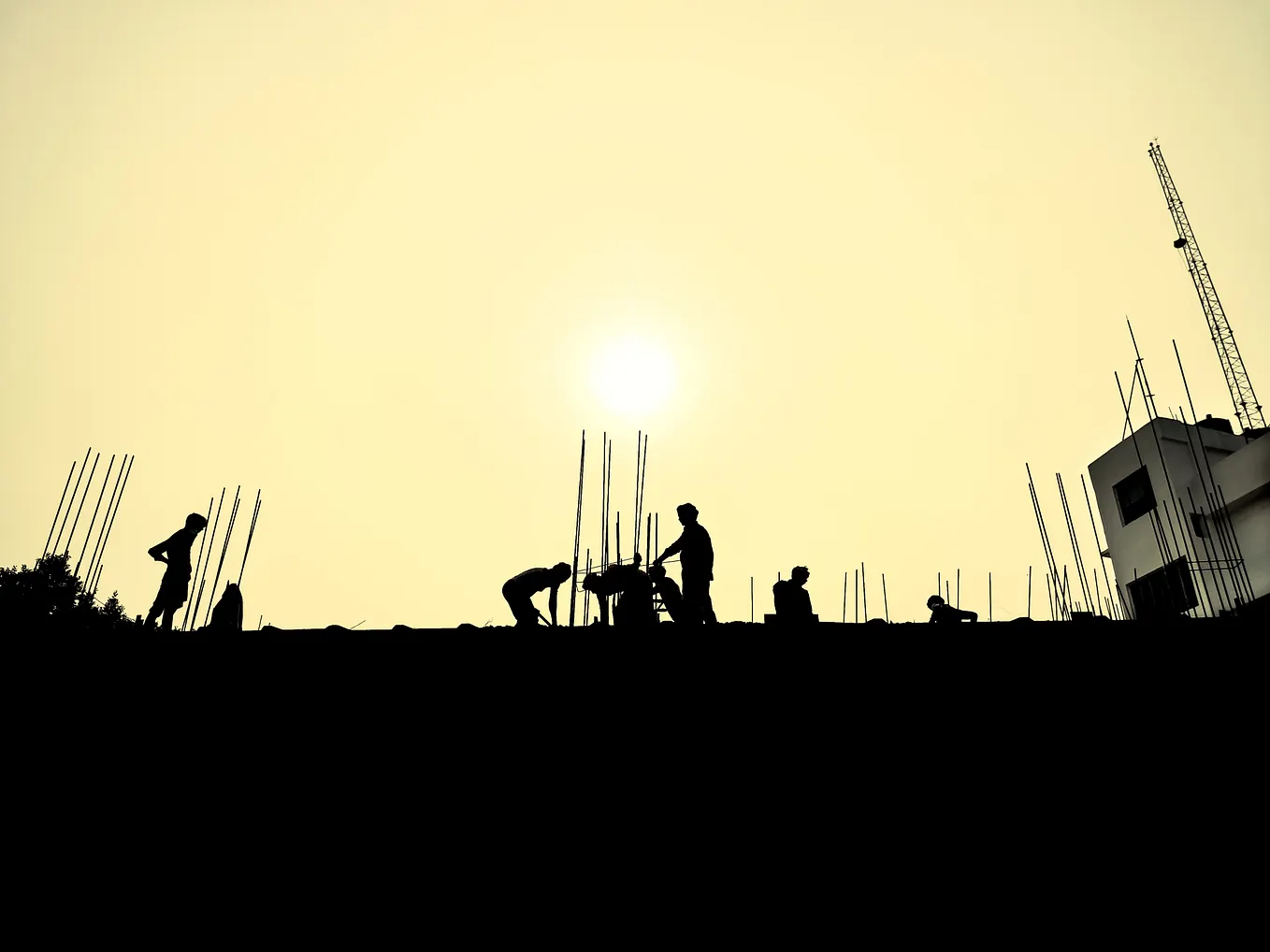 Get paid to help your neighbourhood, The master guide for providing a local service to your…