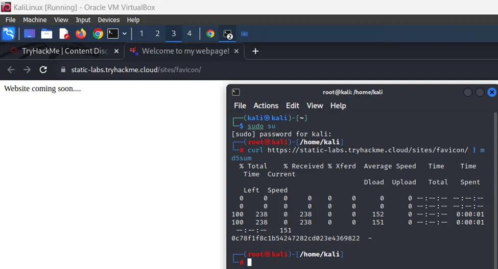 SQL injection :Vulnlab. https://portswigger.net/web-security/sql… | by ...