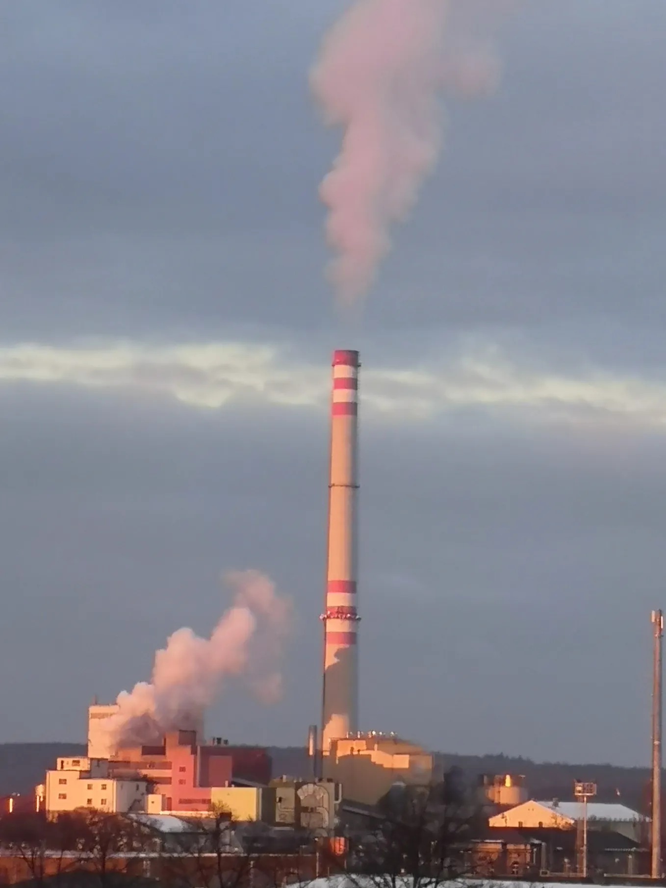 CARBON TRADING NOT ECOLOGY, BUT ECONOMY