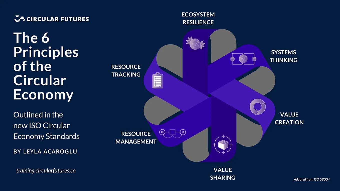 The 6 Principles of the Circular Economy