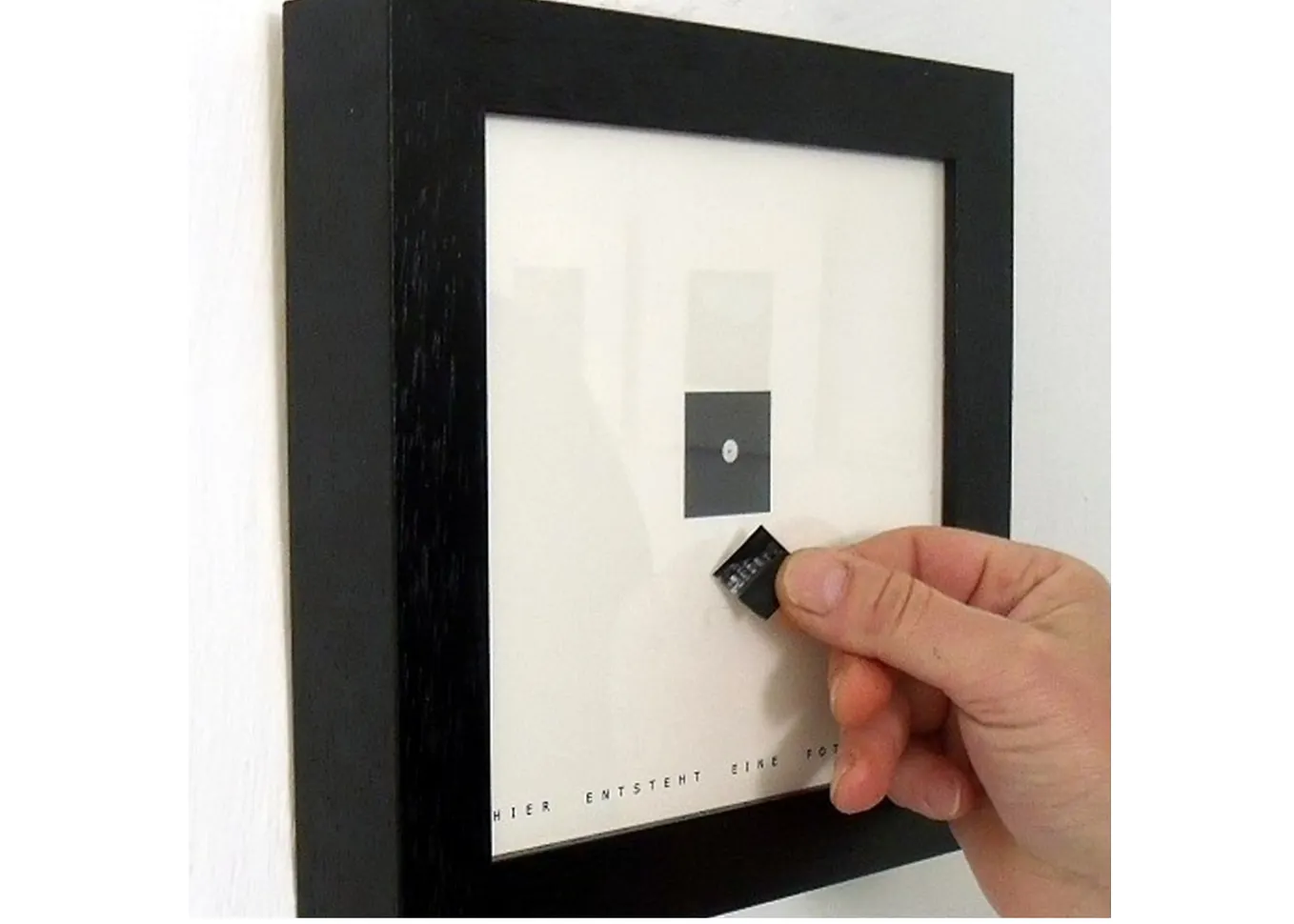 The Ant’s Sidewalk Theory: How Scale Changes Everything You Photograph ...