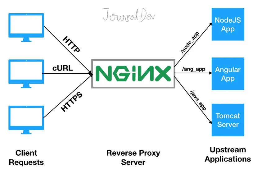 Host multiple websites on a single server using NGINX