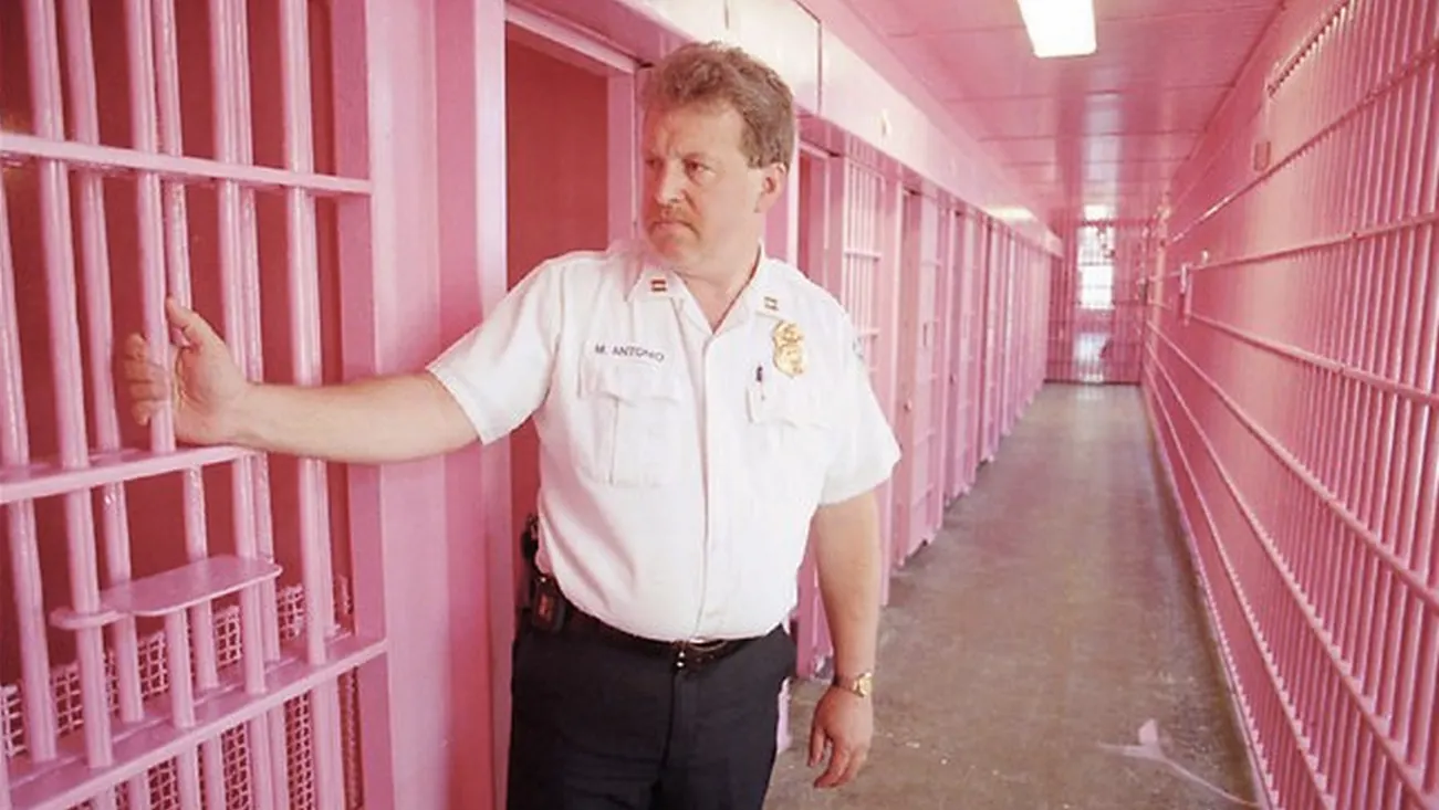 Drunk Tank Pink — The Prison Solution.