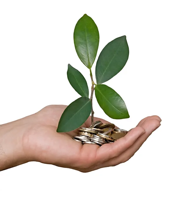 Thực hiện CSR có làm gia tăng lợi nhuận ?