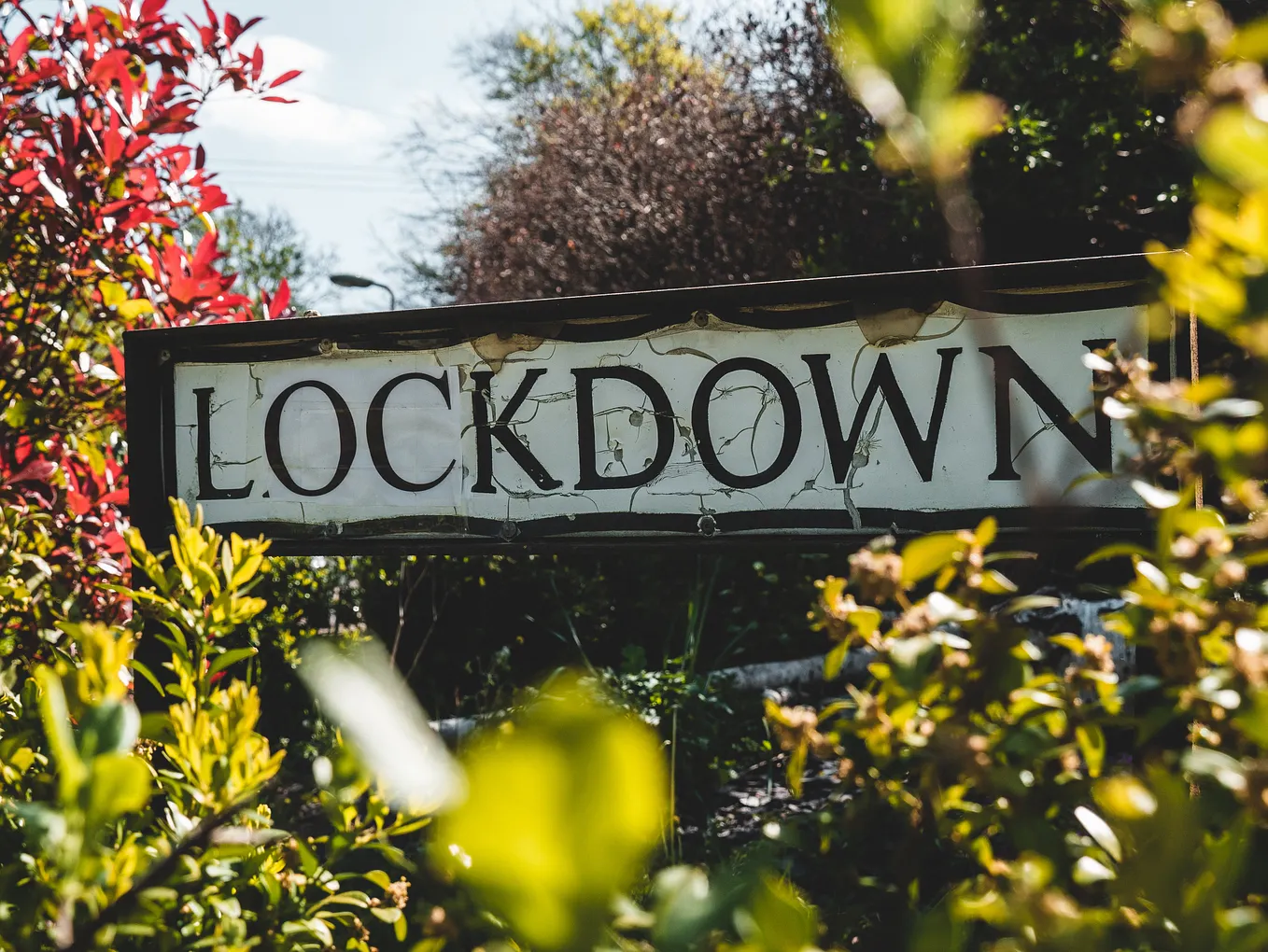 Lockdown Lessons