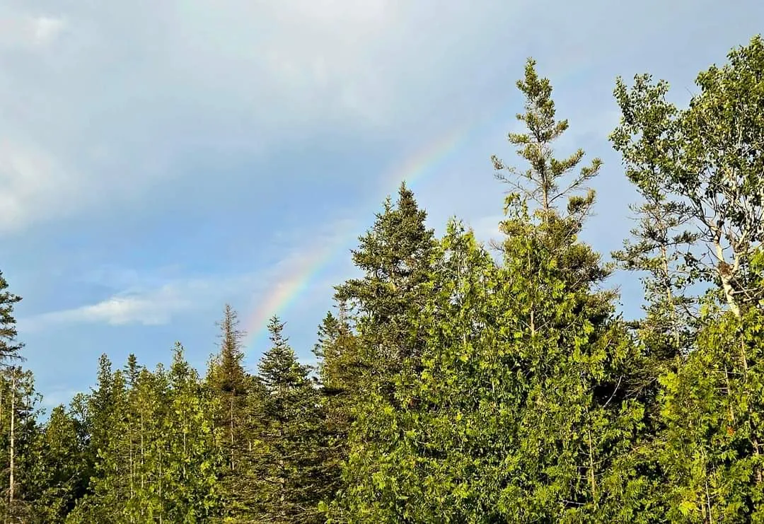 Rainbow over the pine trees on Drummond Island, Michigan