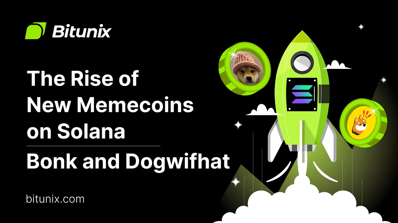 The Rise of Memecoins on Solana: Bonk and Dogwifhat