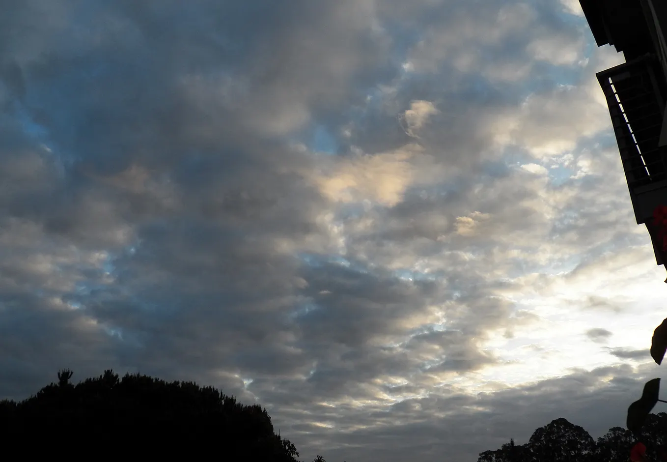This morning’s sky from my second-floor patio . . . blueberry cotton candy.