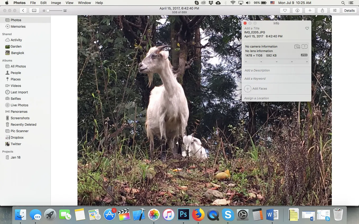 Apple Photos for Mac — Metadata viewer