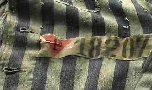Did Hitler Make Pink Feminine?