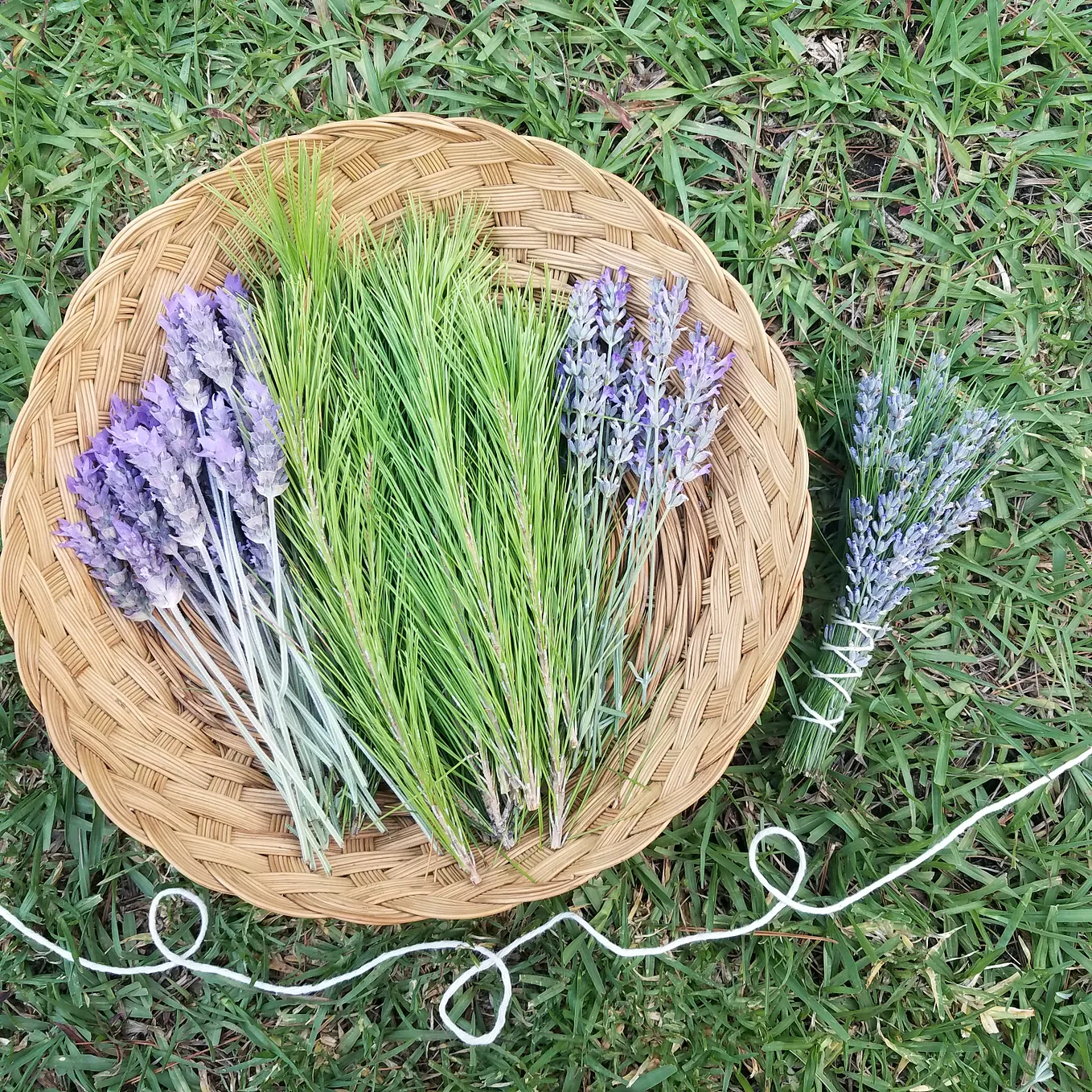 How to Make Herbal Smoke Bundles