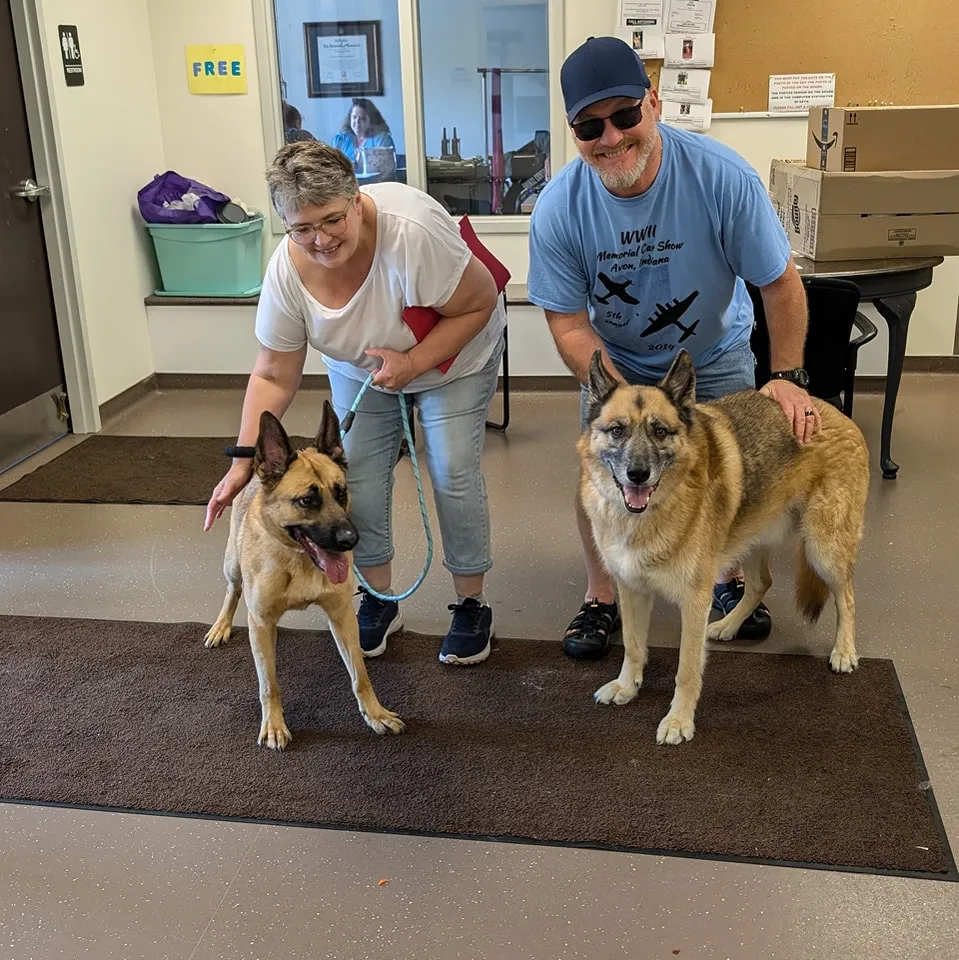 Rescue german shepherds with their new owners at the South Bend Animal Resouce Center