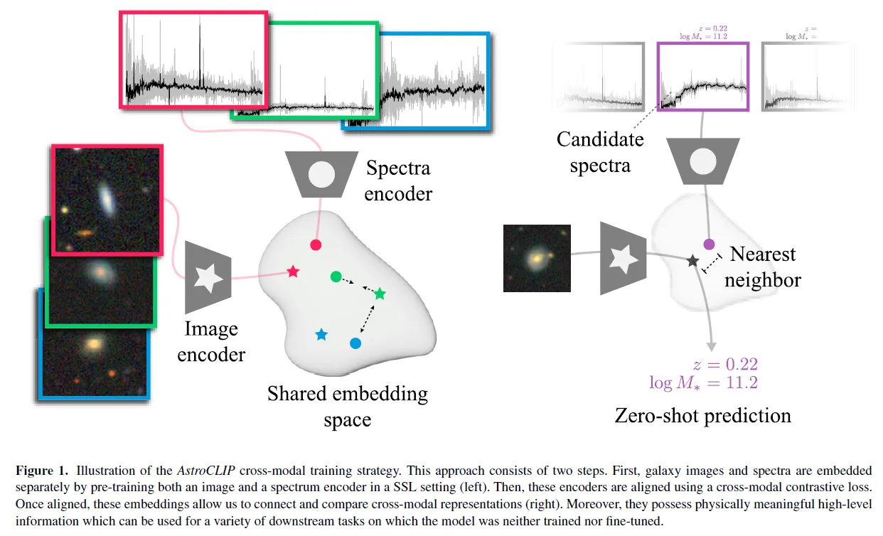 AstroCLIP: a cross-modal foundation model for galaxies