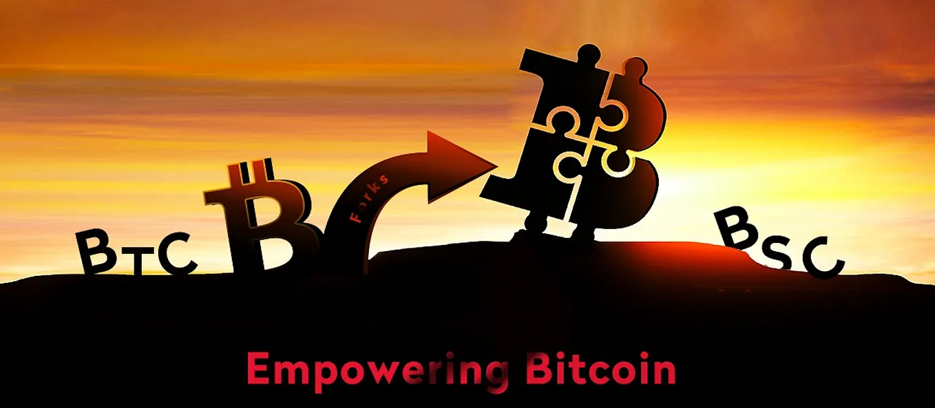 BitcoinSC How To — Import BTC to BSC Wallet | by BSC | Medium
