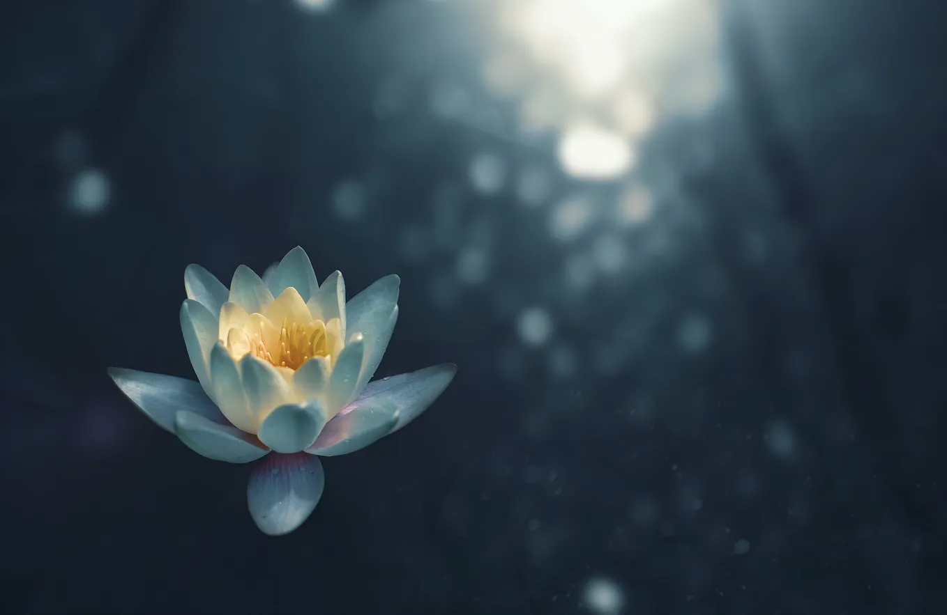 These 3 Lessons from Vipassana are Changing My Life