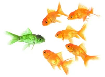 The power of First Line Managers