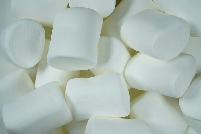 A picture of marshmallows because this story is about the Marshmallow Test in Psychology class.