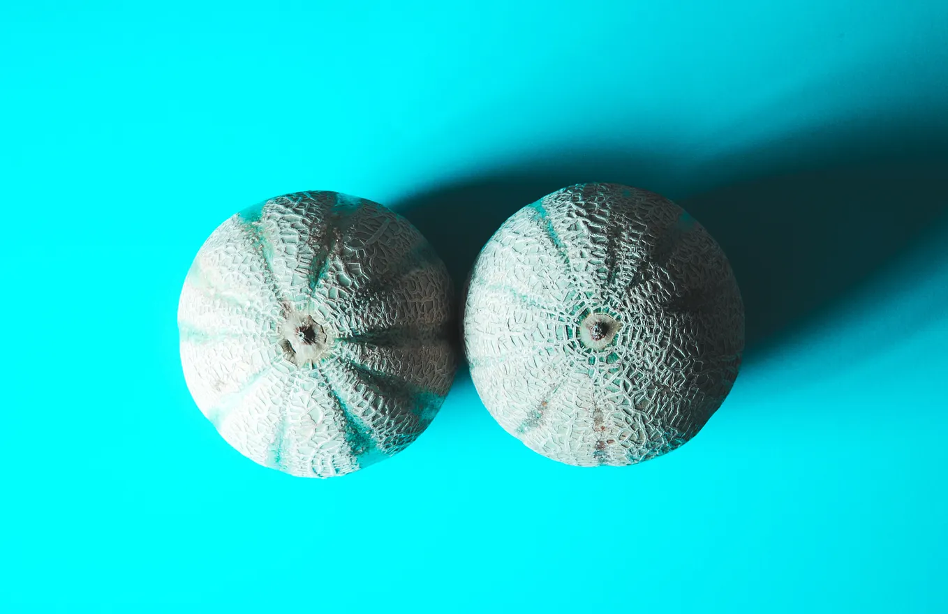 Two rockmelons against a blue background
