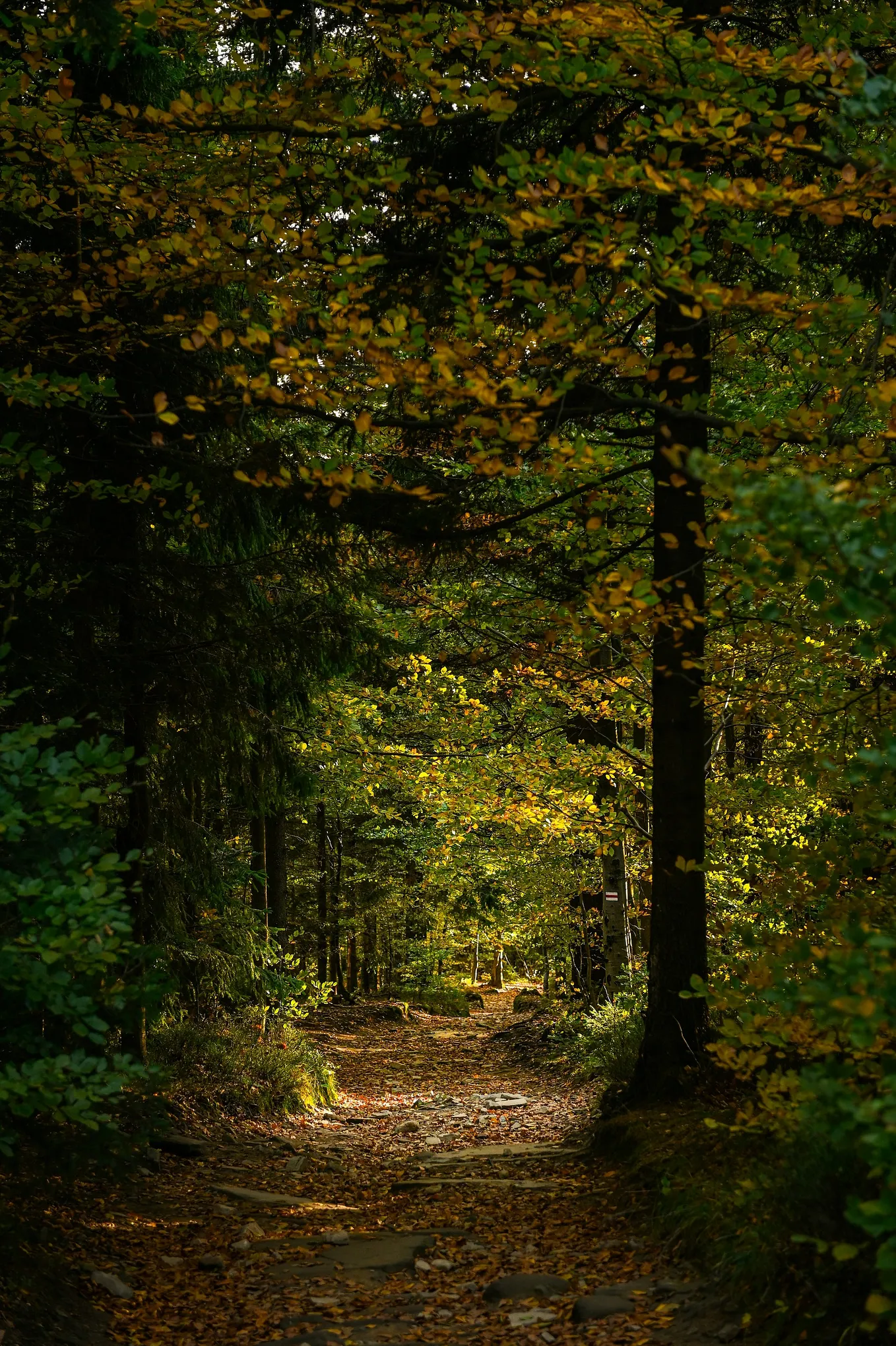 Making Peace Without Resolution. A Long-Form Reflection on Acceptance ...