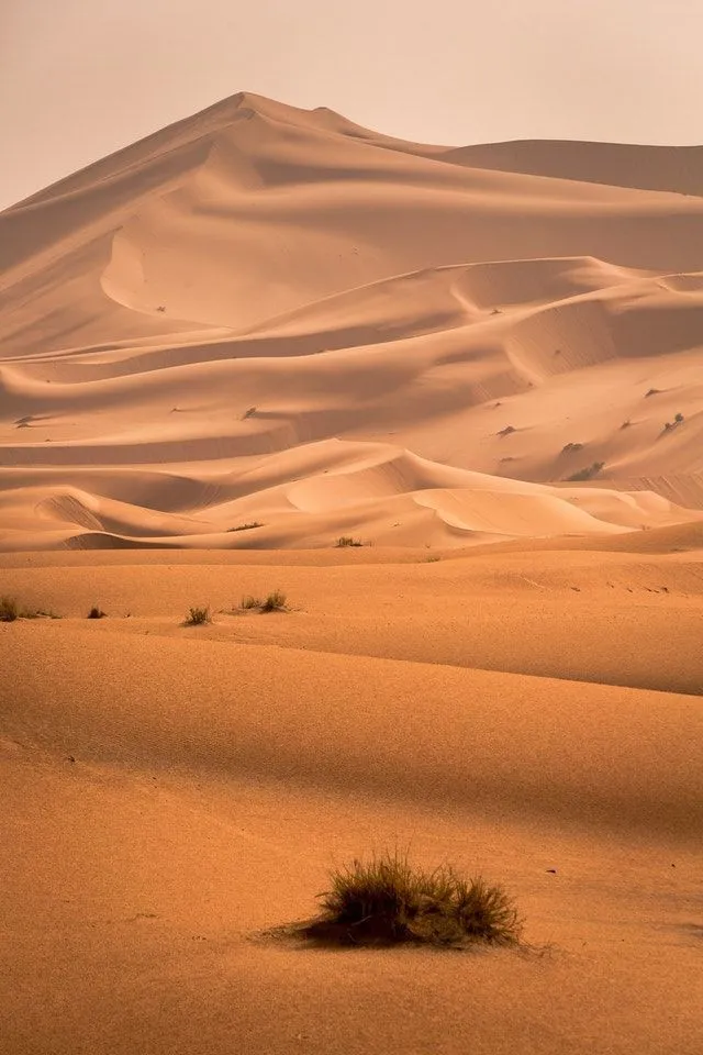 The Sahara Desert: An Expansive Wonder of Nature: