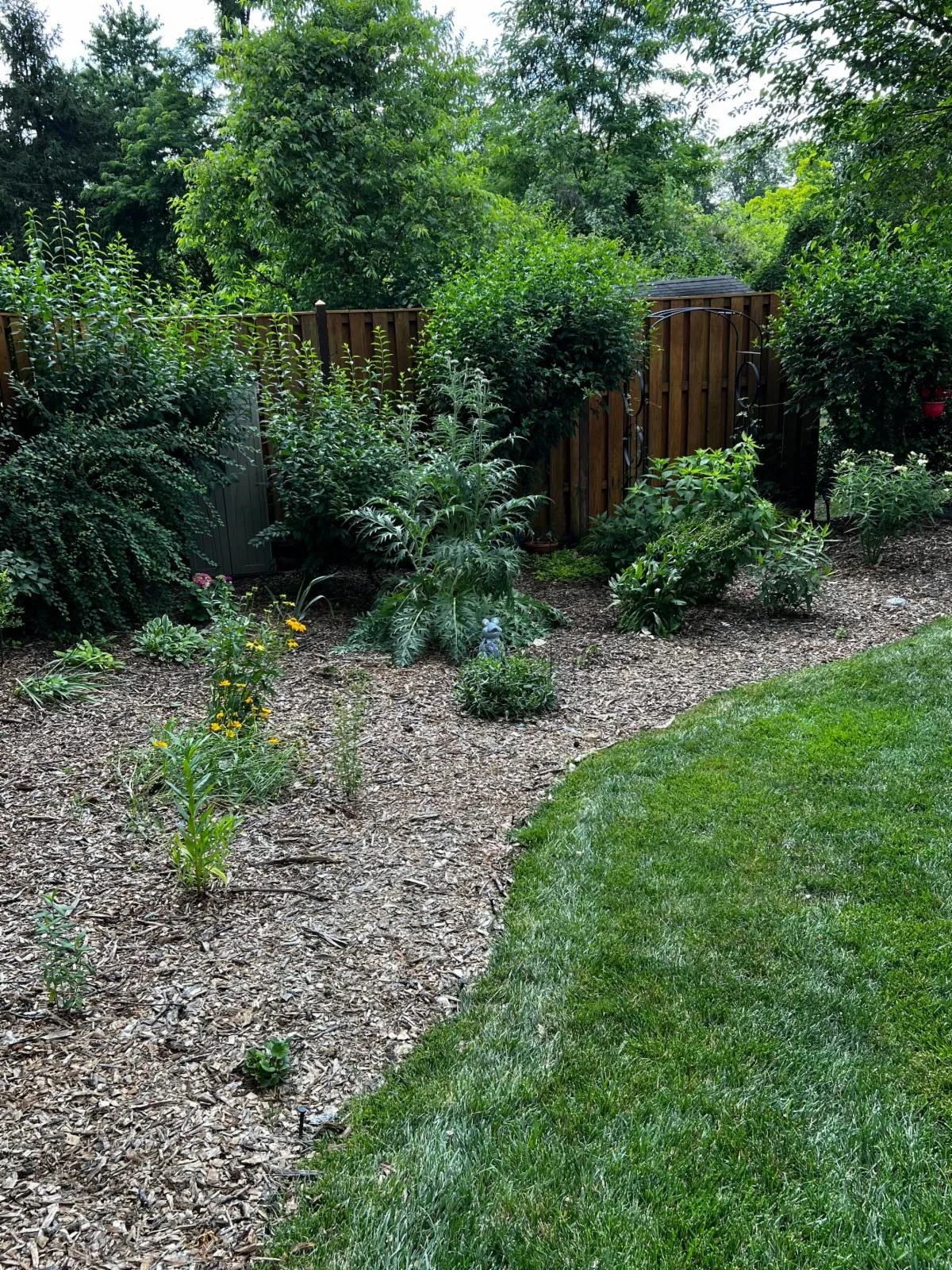 Rain Gardens: An Effective Solution to Manage Stormwater