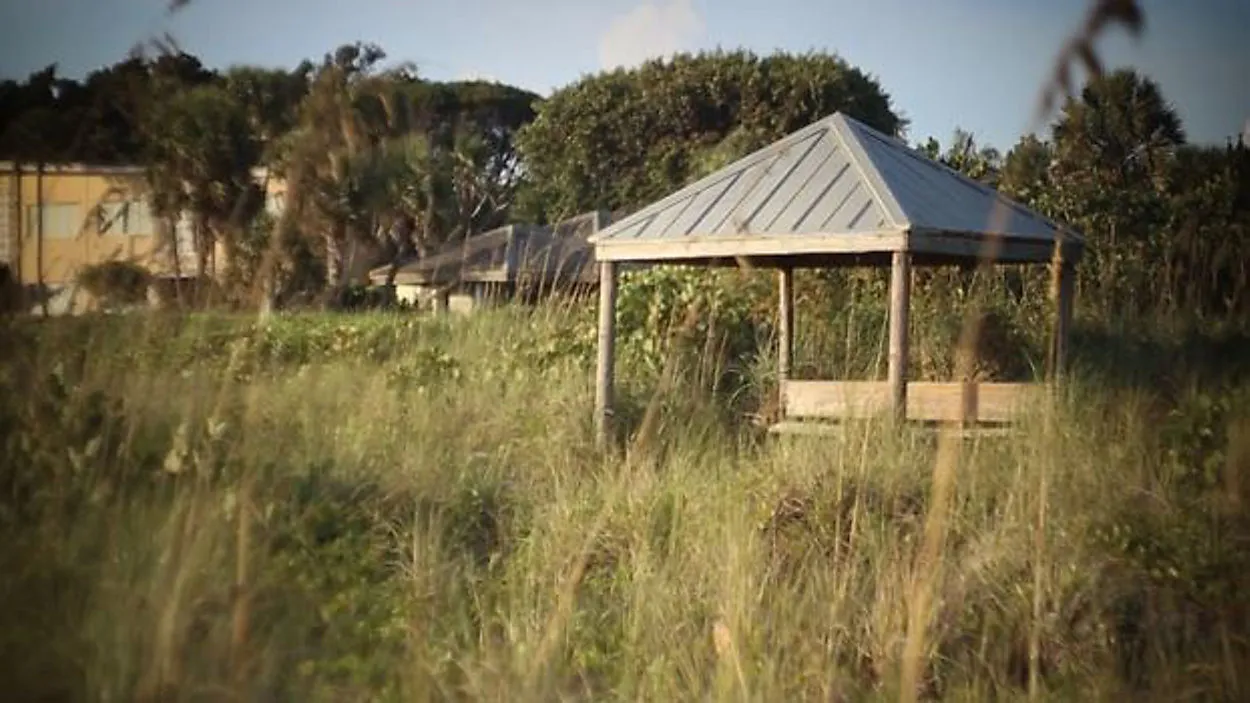 Shadows in Paradise: The Dark Story of Sabine Buehler’s Disappearance on Anna Maria Island