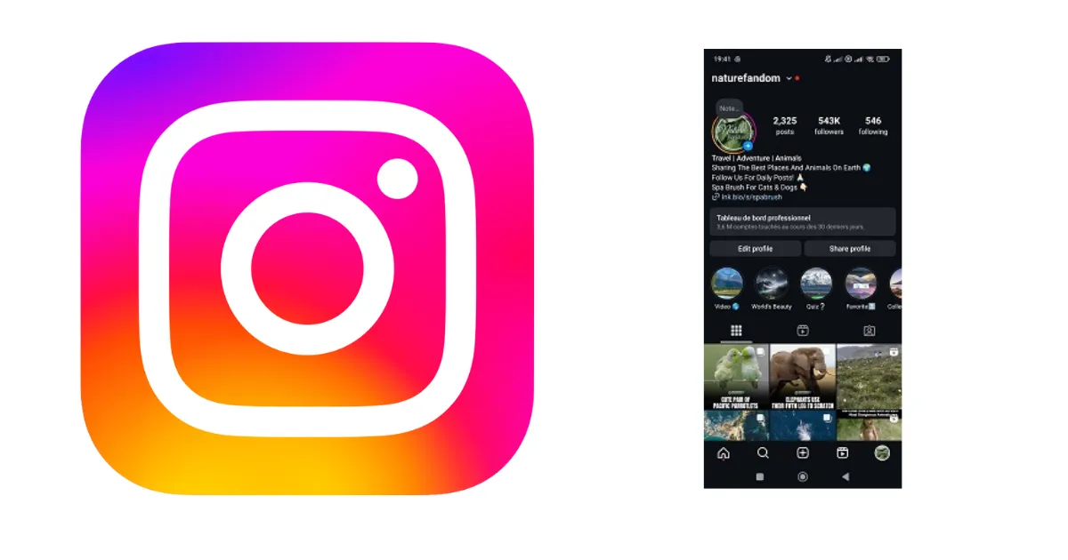 How I Grew My Instagram Account To 100K Followers