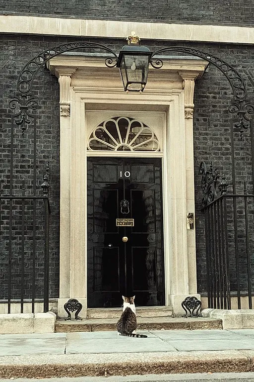 A photo of the door of Number 10 Downing Street with Larry the cat sitting outside