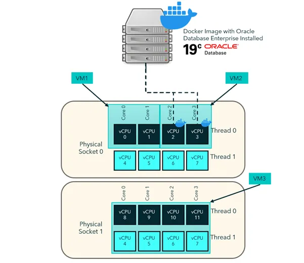 MySQL Licensing Explained. Understanding license implications of… | by ...