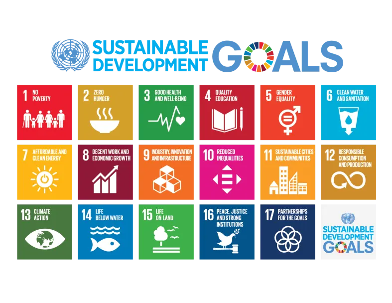 Sustainable Development & Scaling AI for Good