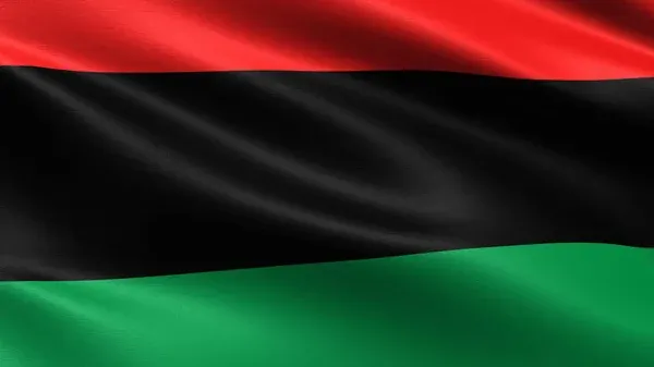 Don’t Ever Call Me a “Foundational Black American”