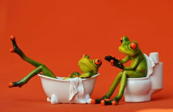Frogs in Your Toilet? — Shock, Awe, and How You Can Get Rid of Them…..It Happened to Me