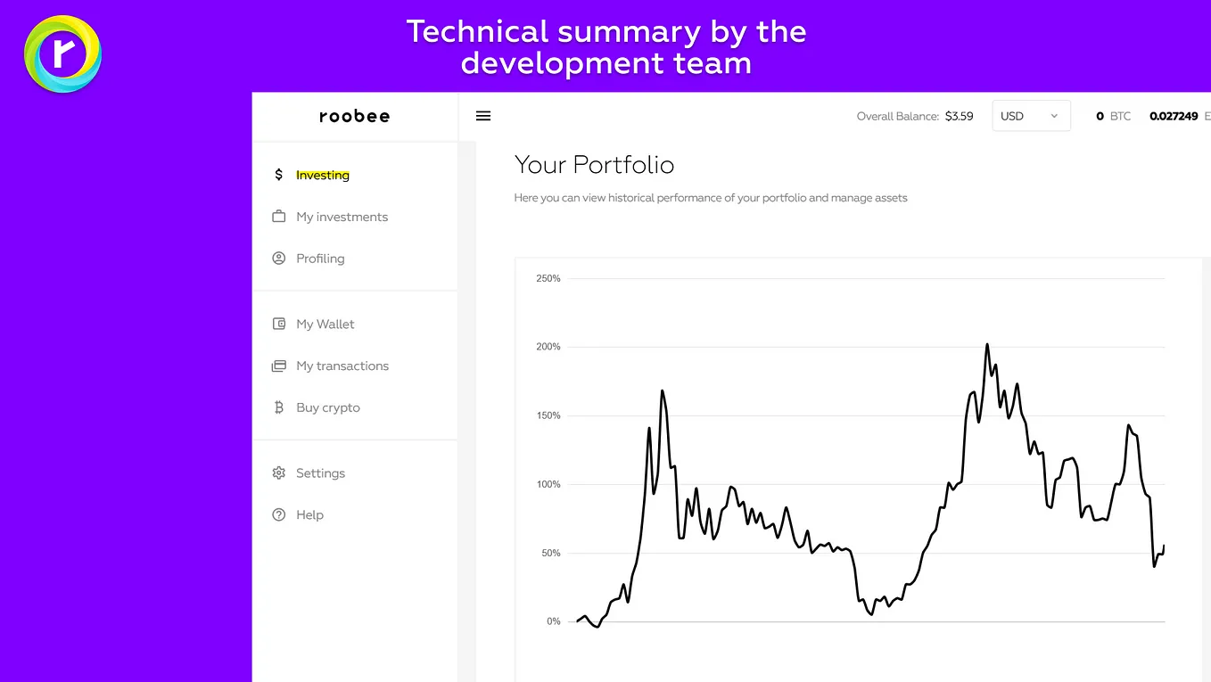 Technical summary by the development team