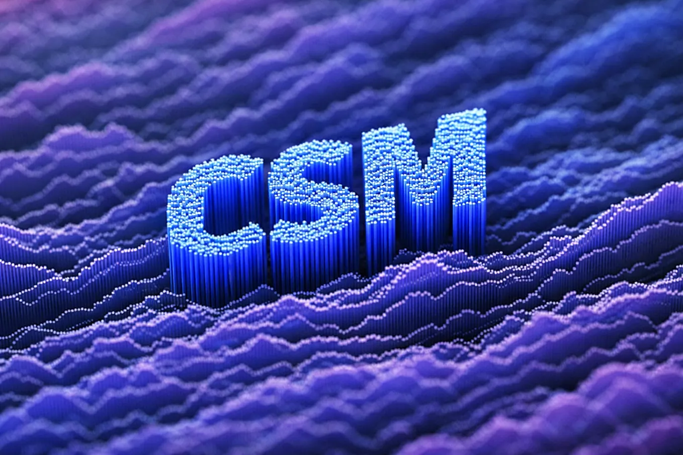 Why Playbooks Matter More Than hero CSMs