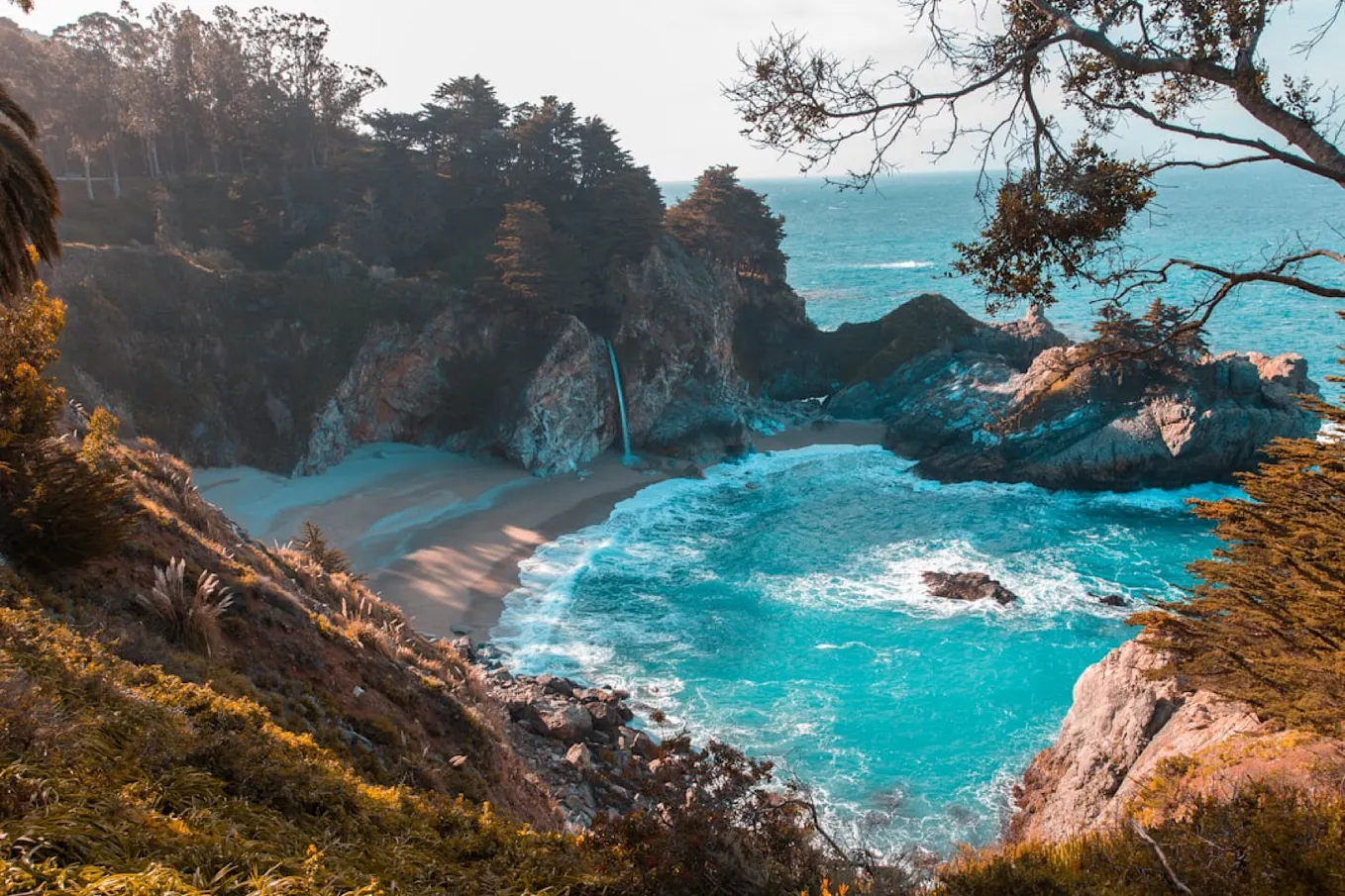 a beach cove surrounded by a cliff with trees
