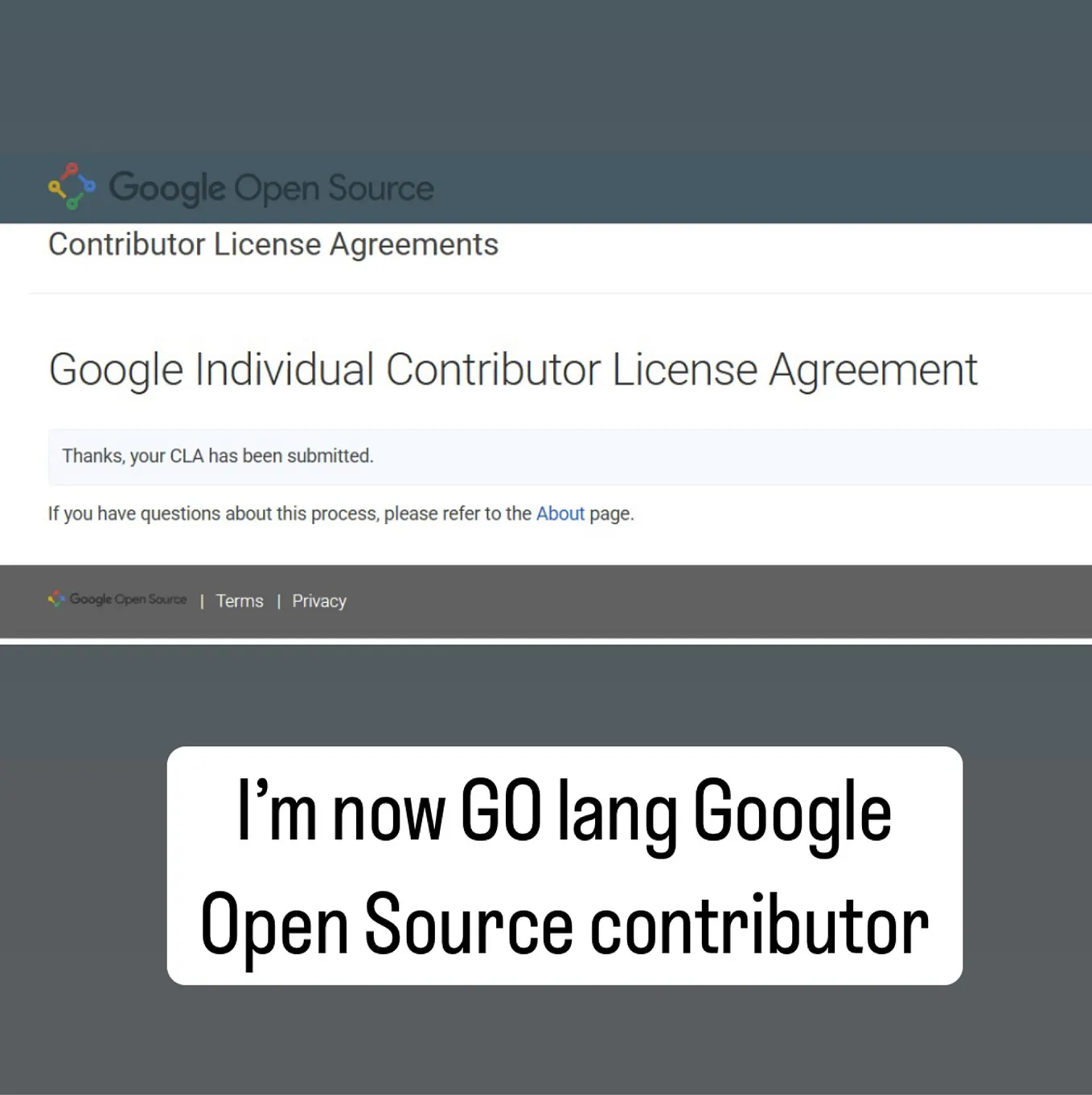 Building an Large Language Model LLM Agent in Python: A Step-by-Step ...