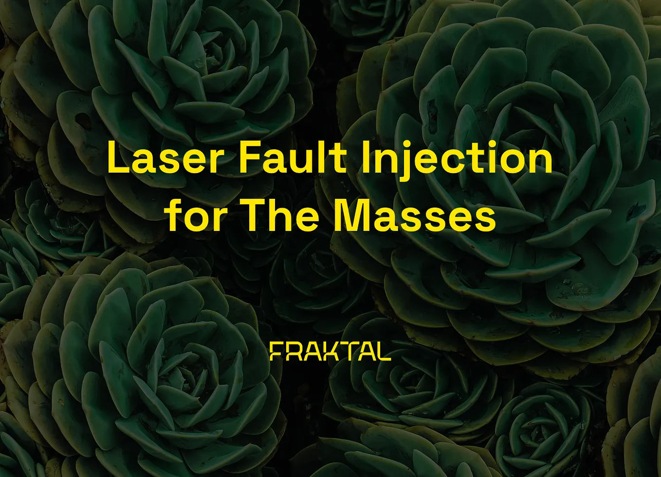 Laser Fault Injection for The Masses