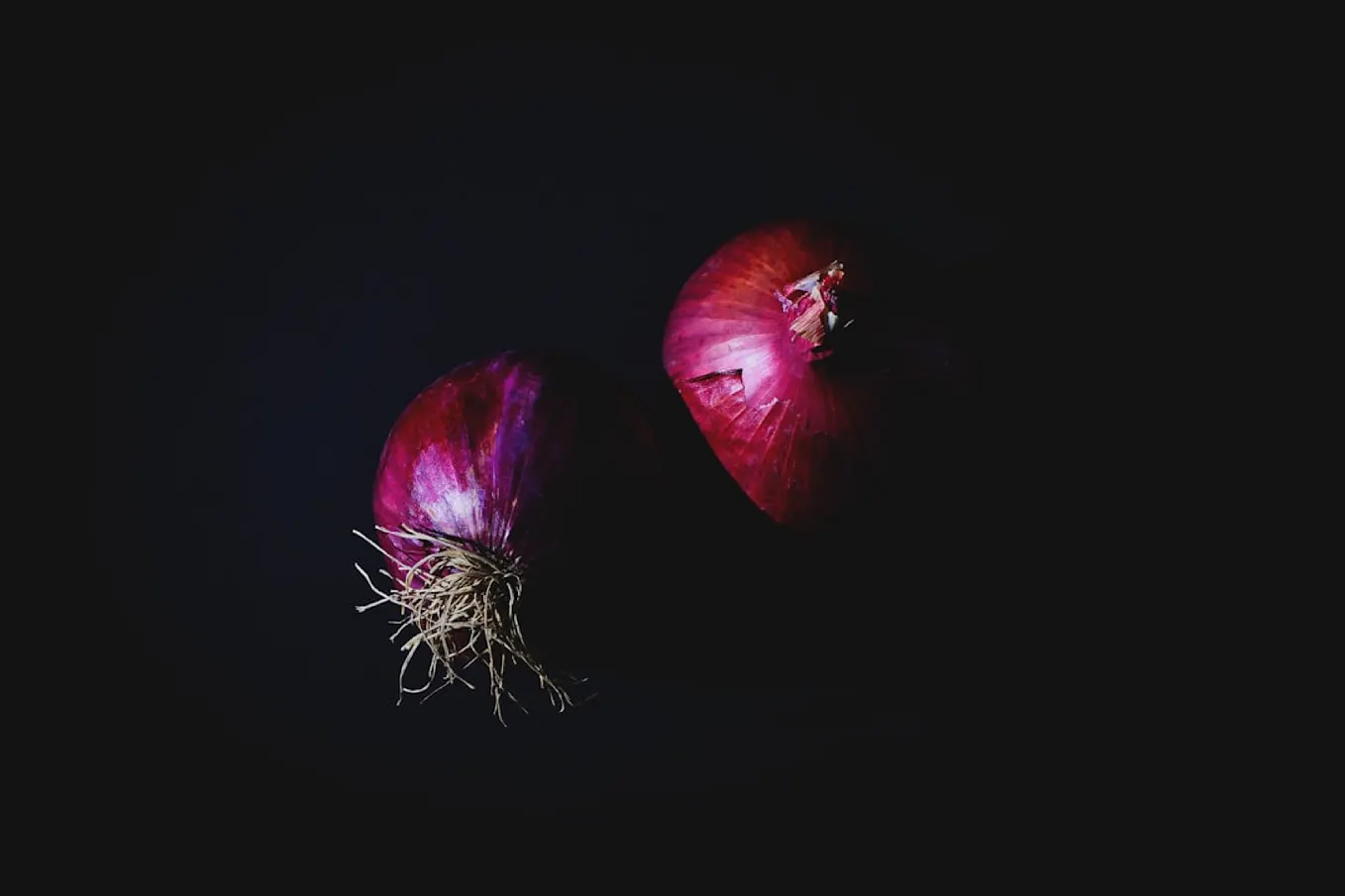 Why I Was Impressed With Stanley Tucci’s Enormous Onions