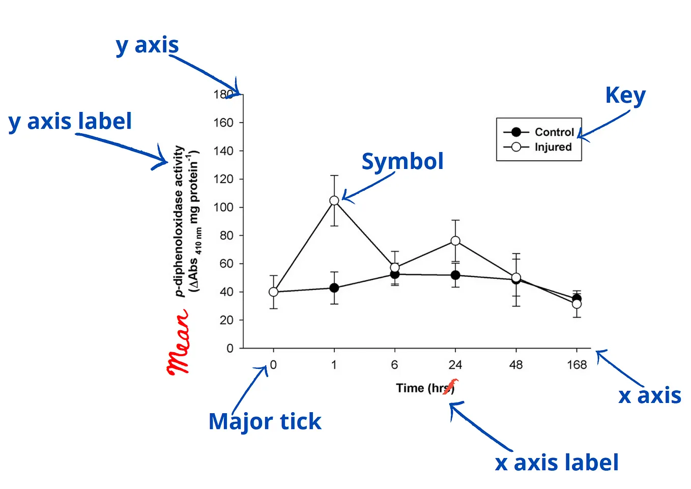 b12 injections dosage and frequency Vitamin B12 Injection Dosage & Frequency for Weight Loss