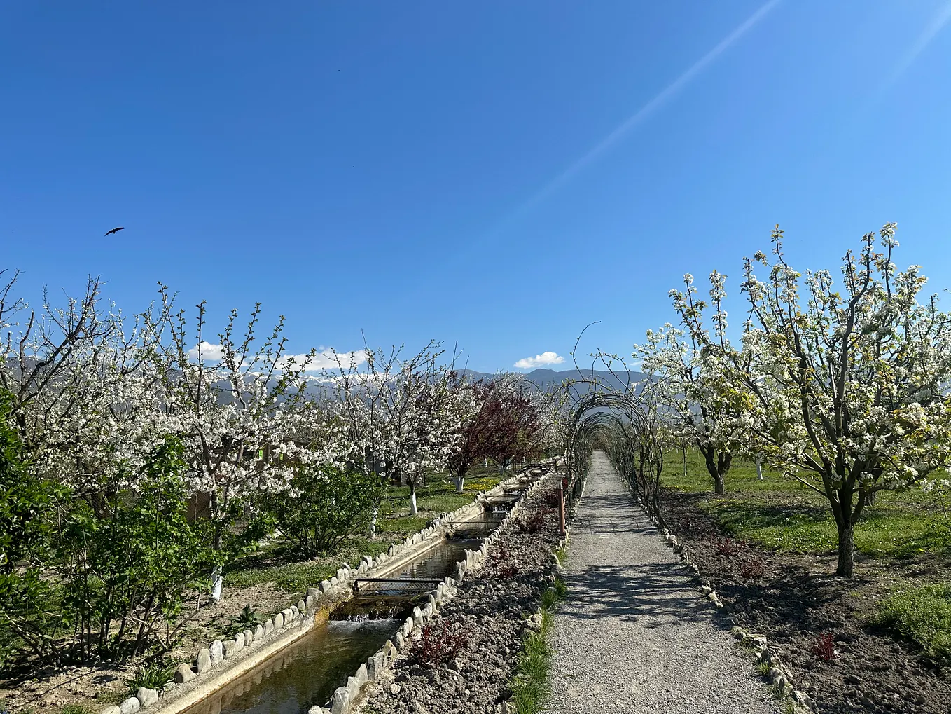 A Family Farm Showcases Sustainable Agriculture Model in Scenic Azerbaijan
