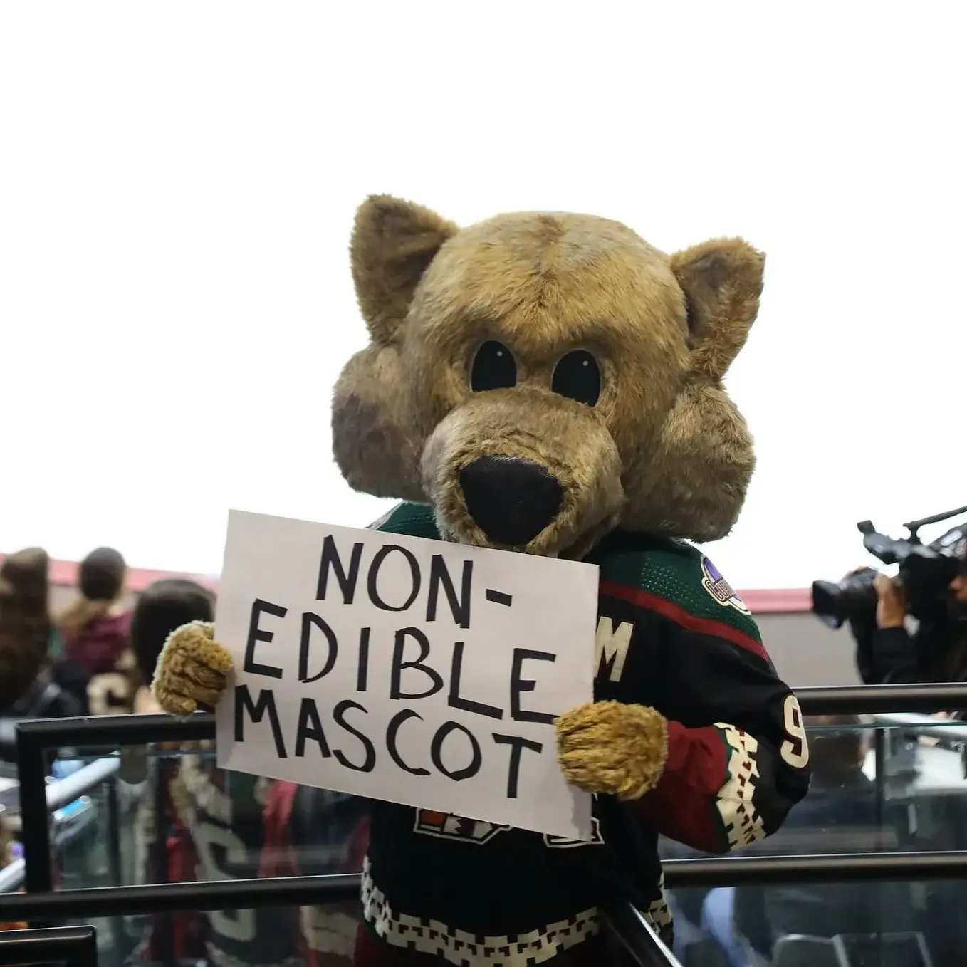 Defanged: Furry Cringe, Loneliness, and Memetic Commodity | by ...