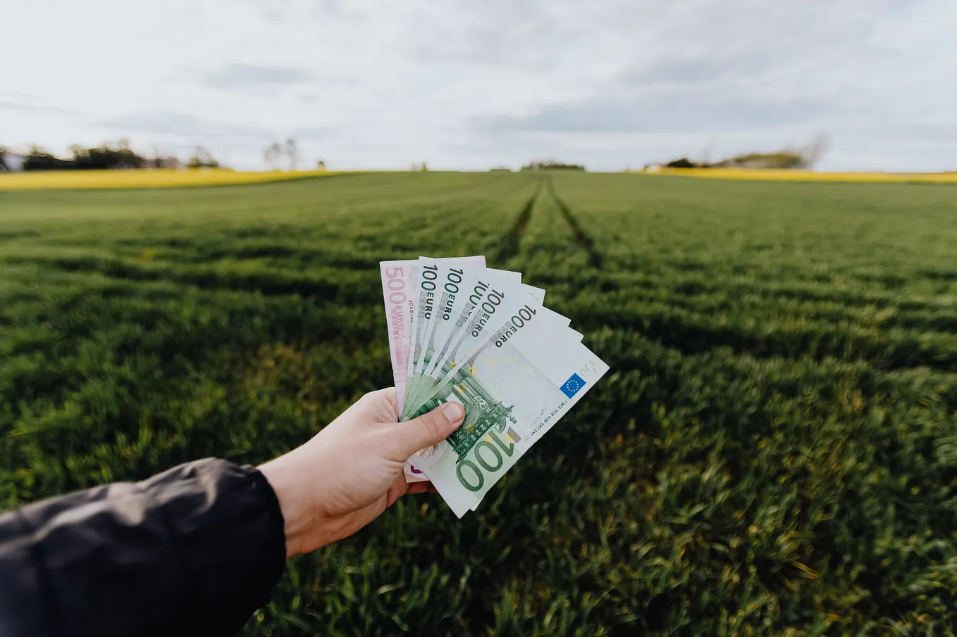 Financial Freedom Through Multiple Streams of Income