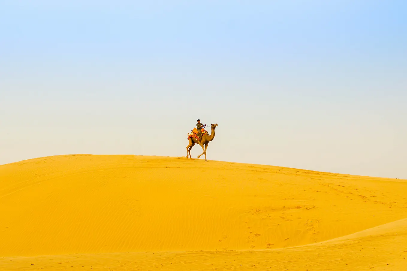 The difference between “undefined” and “not defined” in JavaScript | by ...