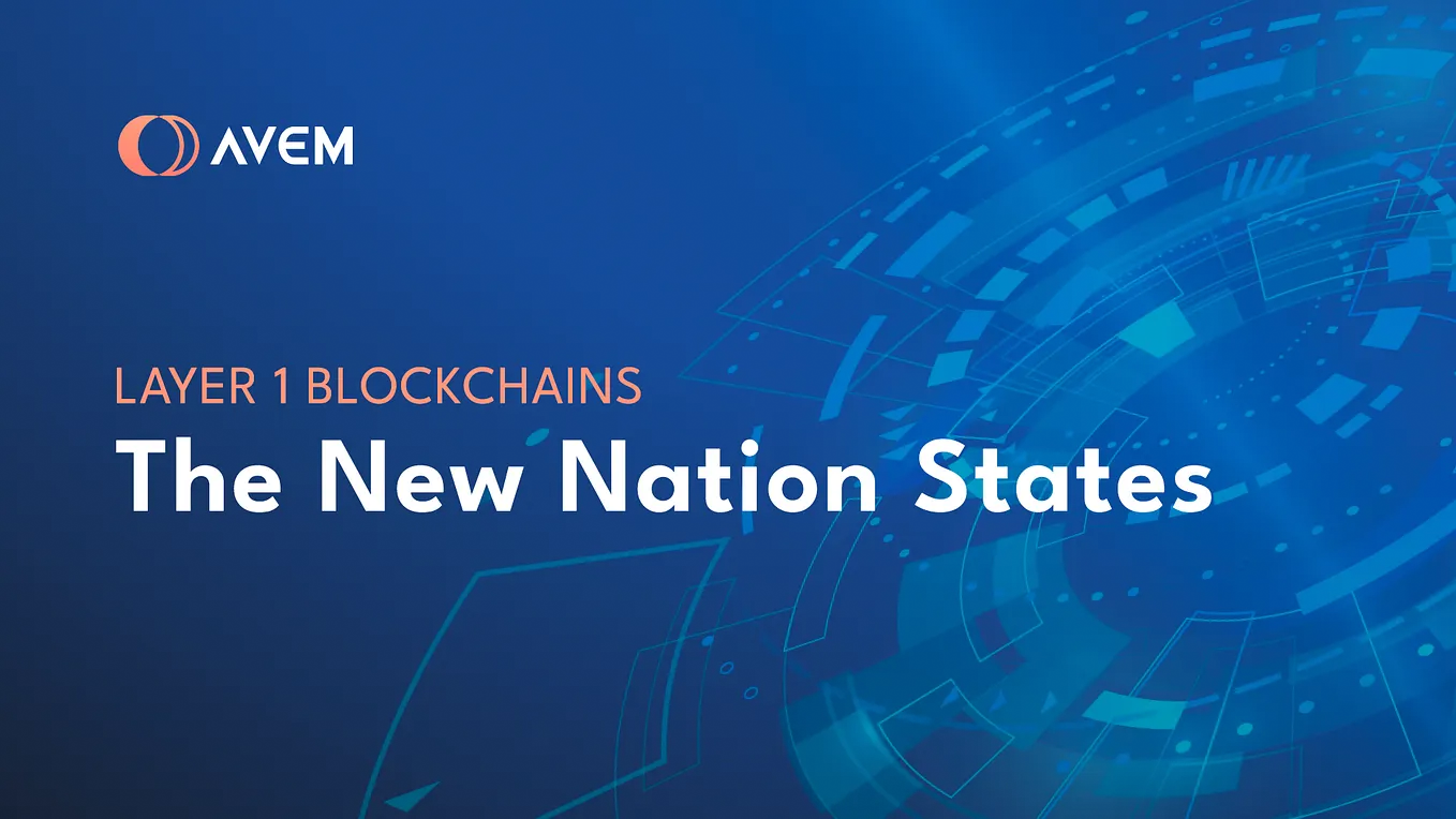 Layer 1 Blockchains: The New Nation States