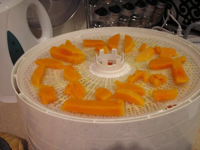 Sliced butternut squash on a Nesco dehydrator