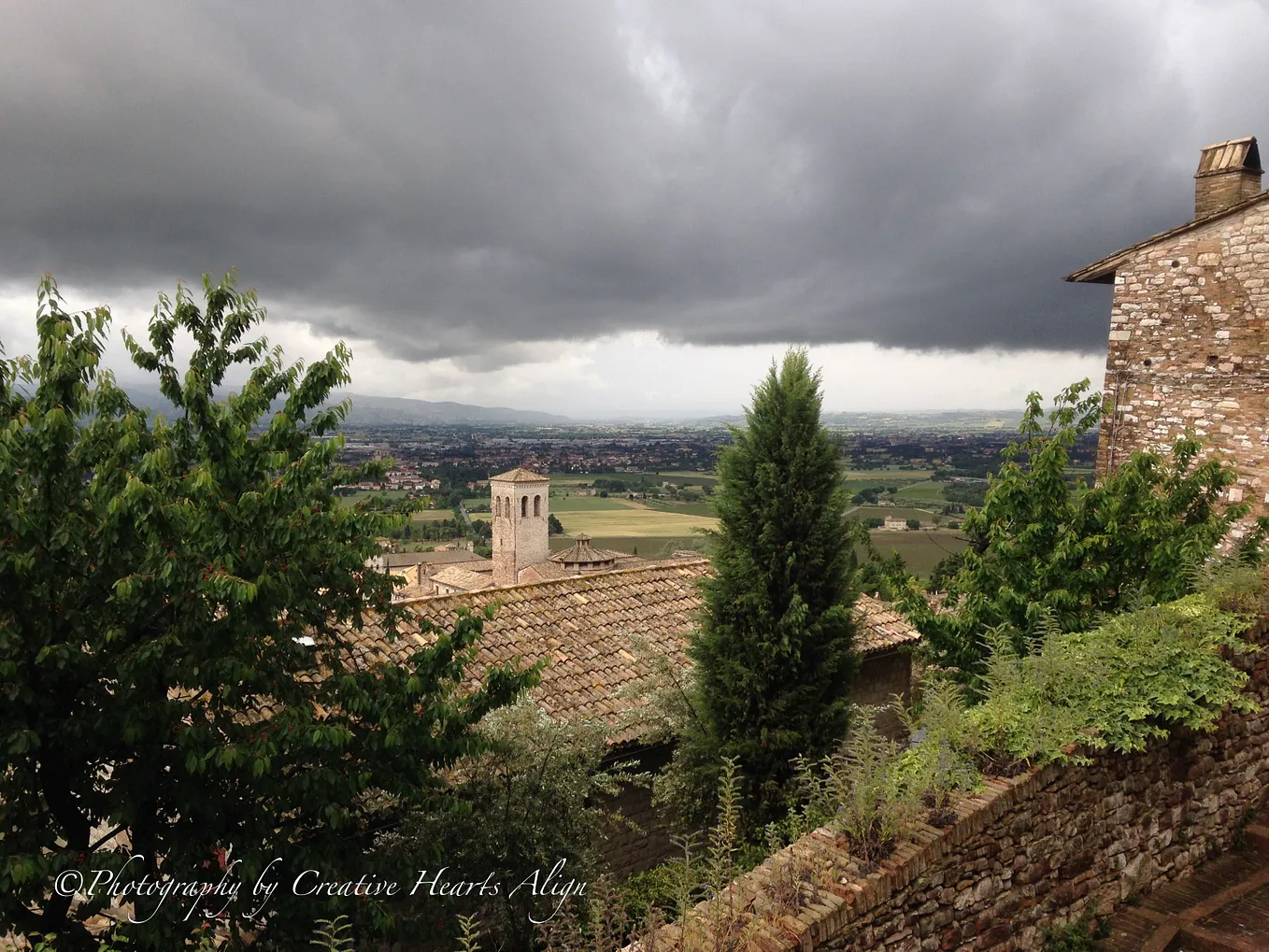 Adventures in Assisi: The Empathic Nun