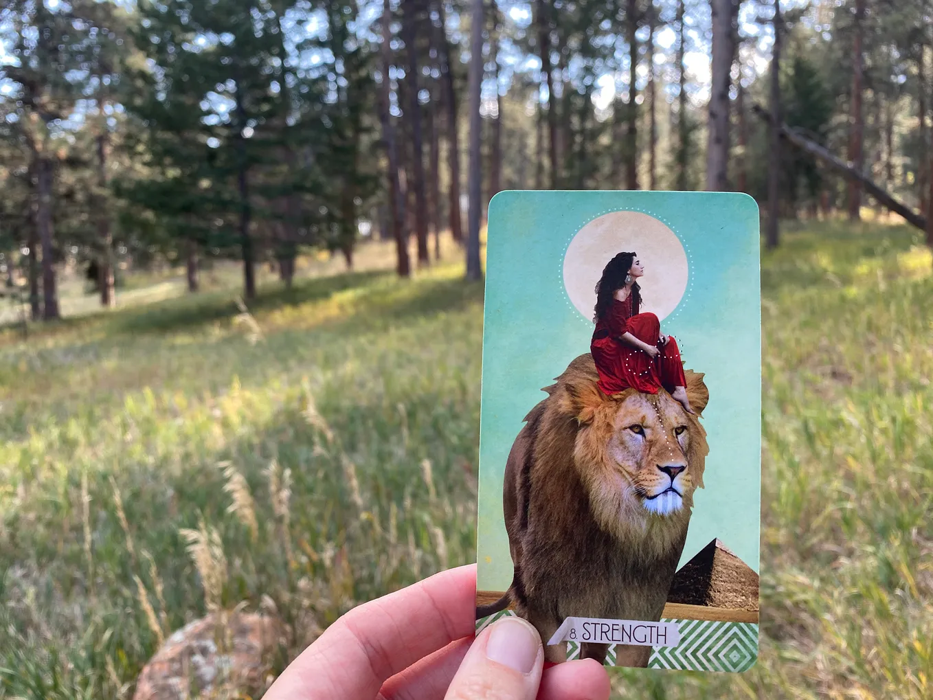 Card shows a femme with long flowing hair and a daytime full moon behind her head, wearing a full-length deep red dress and sitting atop a giant lion who is walking through a desert landscape with pyramids in the distance. The moon is encircled by white dots, the femme holds an infinity (the lemniscate) of white dots in one hand, and there is a line of white dots down the center of the lion’s face, like a rein. In the photo, the background shows an alpine forest with tall grasses in sunlight.