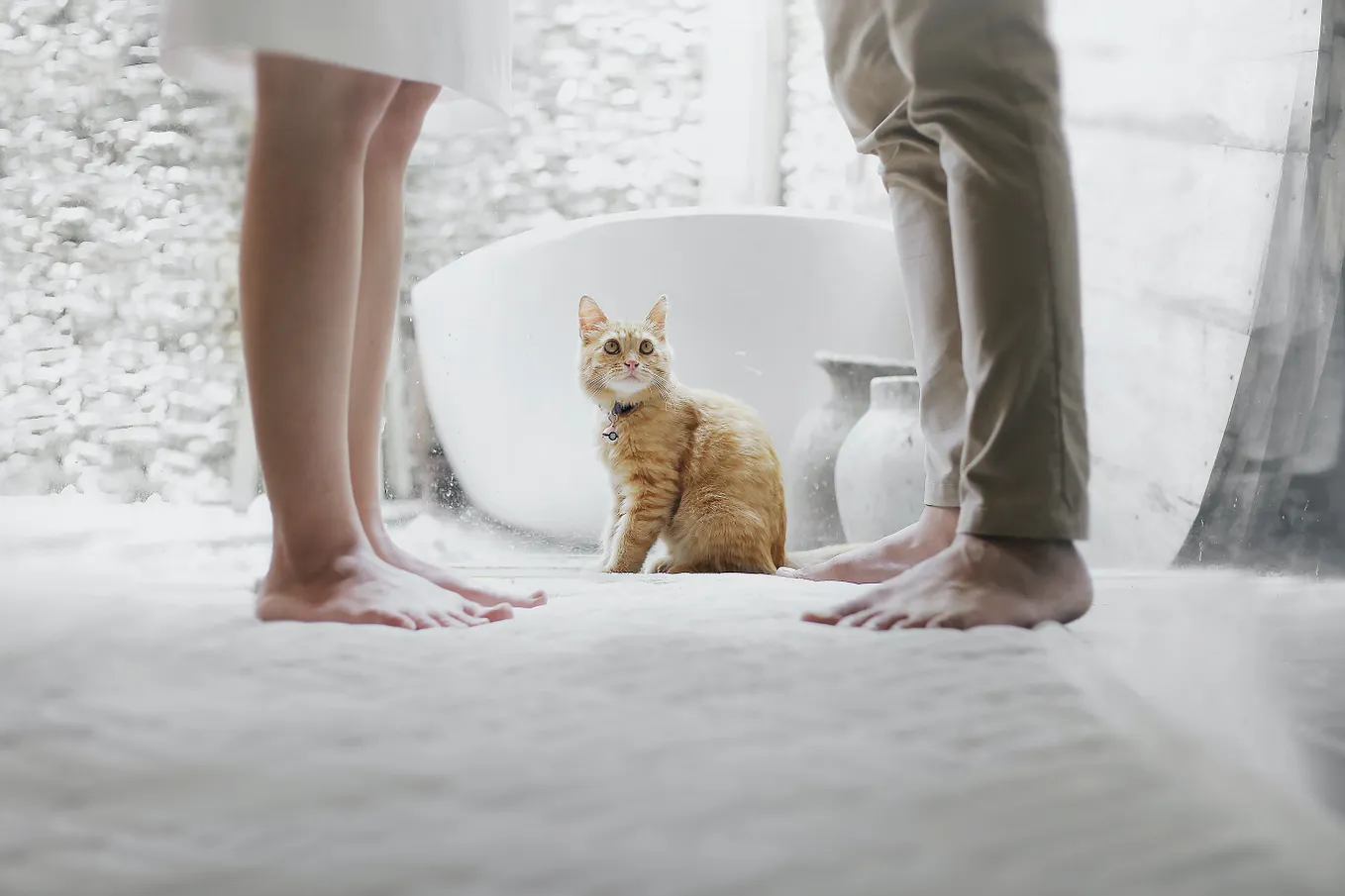 Do You Have a Spouse…or a Roommate?