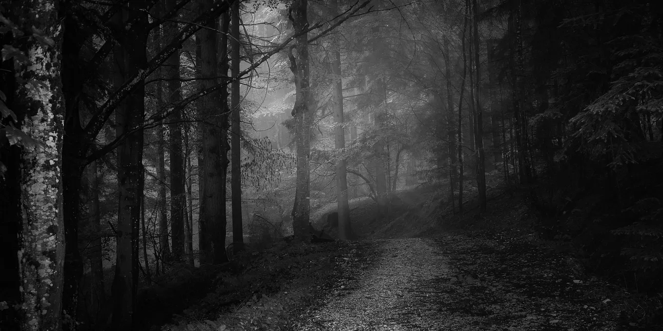 The Creepy Clean-Out in the Woods